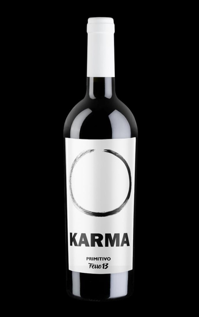 FERRO 13 - Karma